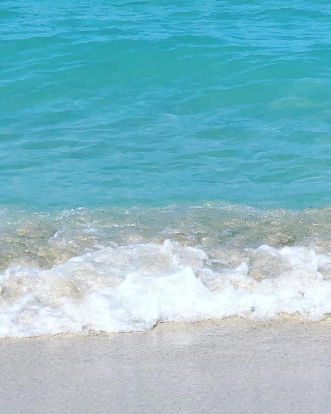 2019-06-18 09.41.51-2