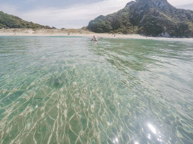 DCIM100GOPROGOPR2003.